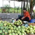 chợ cù lao dừa