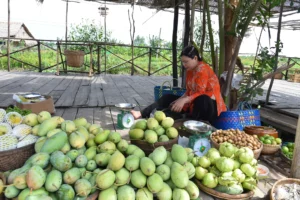 chợ cù lao dừa