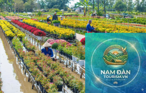 chợ hoa tết sa đéc