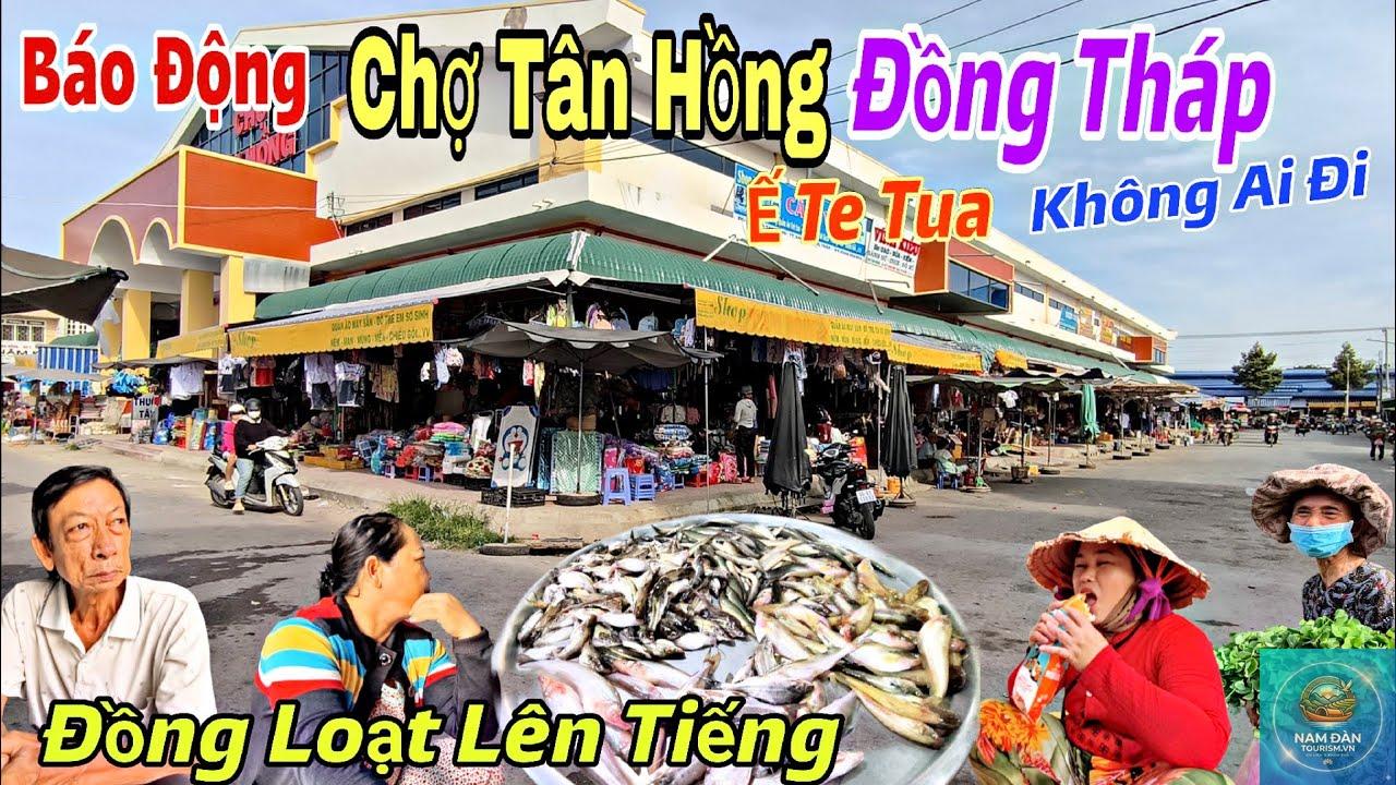chợ tân hồng - Hình 2
