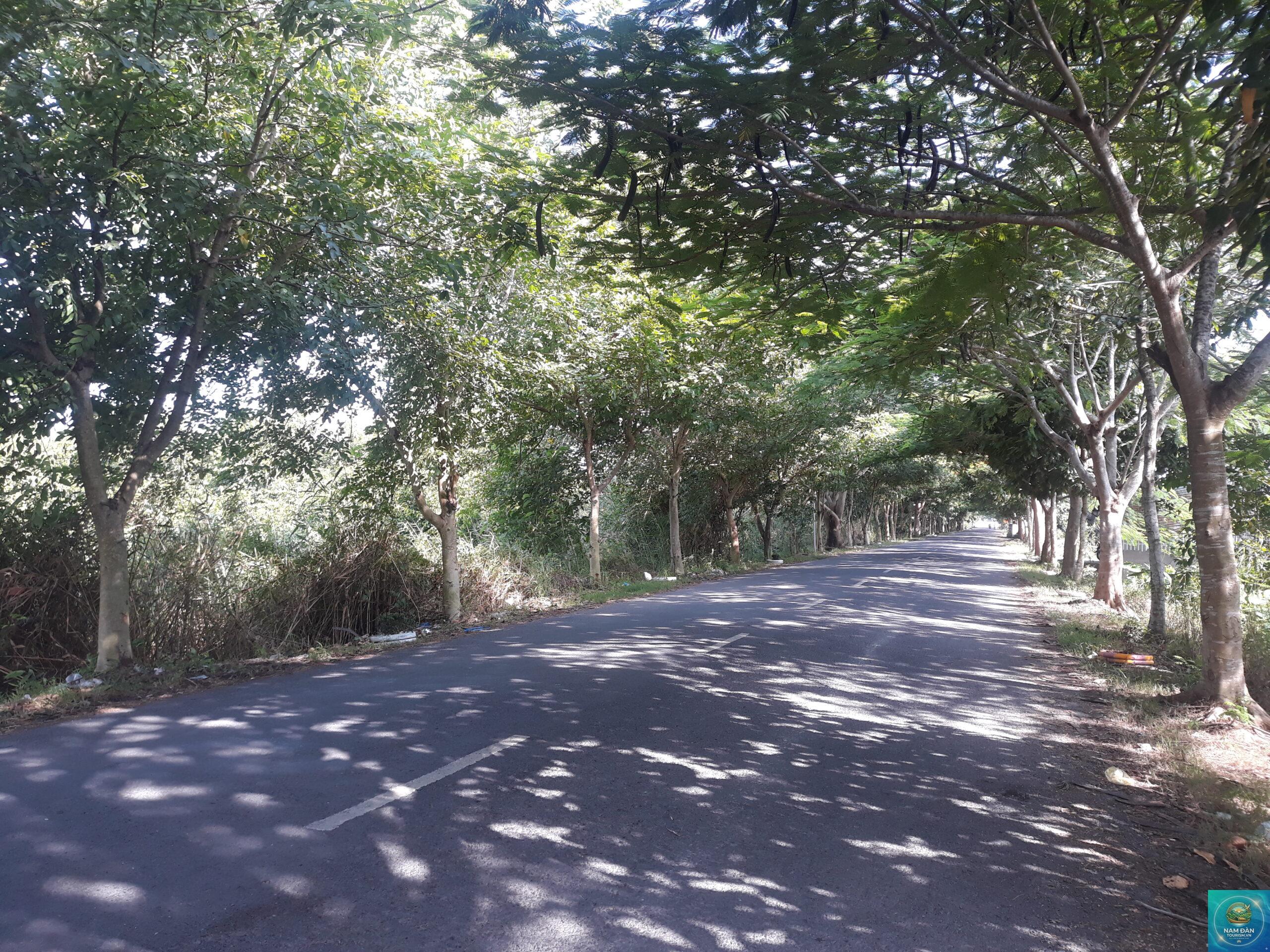 cồn bình thạnh - Hình 2
