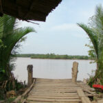 cồn hưng phong