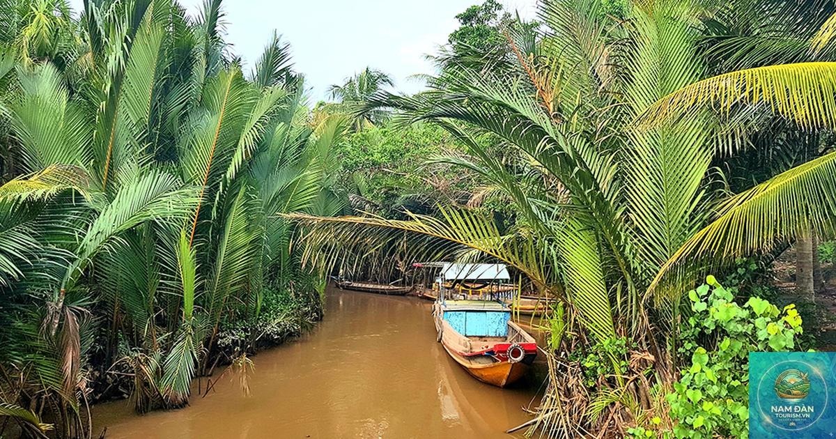 cồn hưng phong - Hình 4