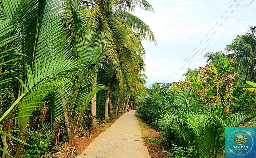 cồn hưng phong - Hình 5