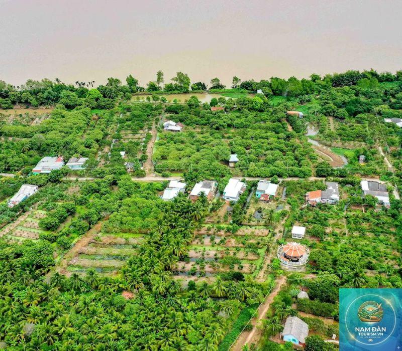 cồn mỹ phước - Hình 4