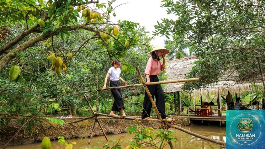 cồn mỹ phước - Hình 5