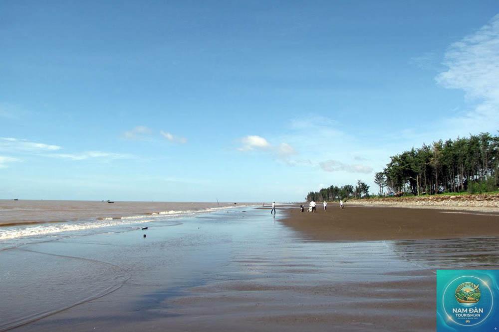 cồn nghêu - Hình 5