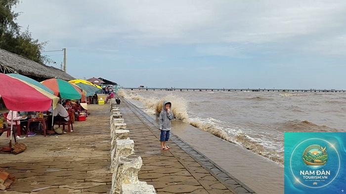 cồn nổi gò công - Hình 5