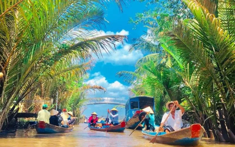 cồn phụng - Hình 5