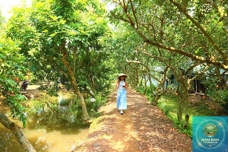 cồn tam hiệp - Hình 4