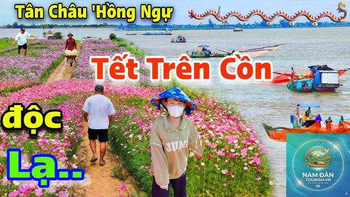 cồn tân châu - Hình 2