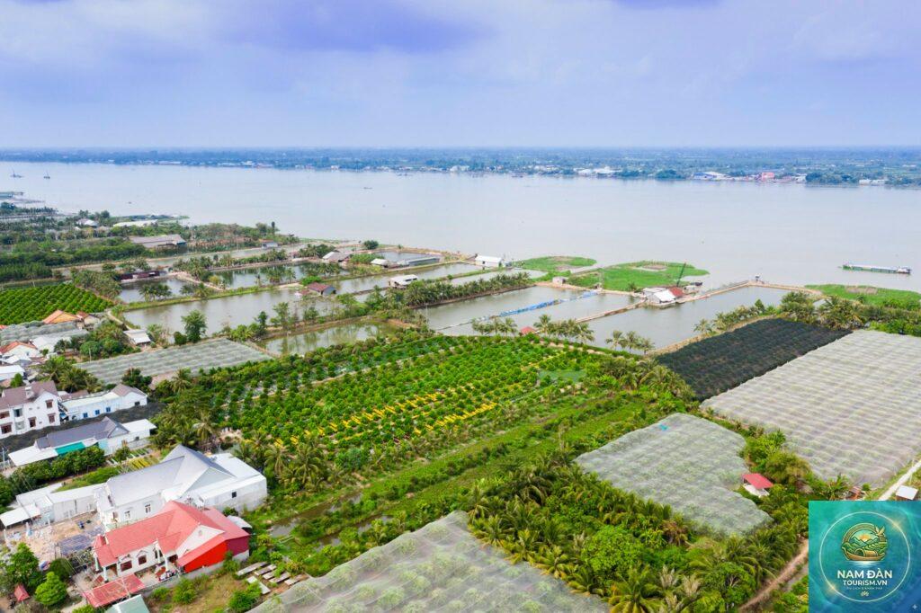 cồn tân lộc