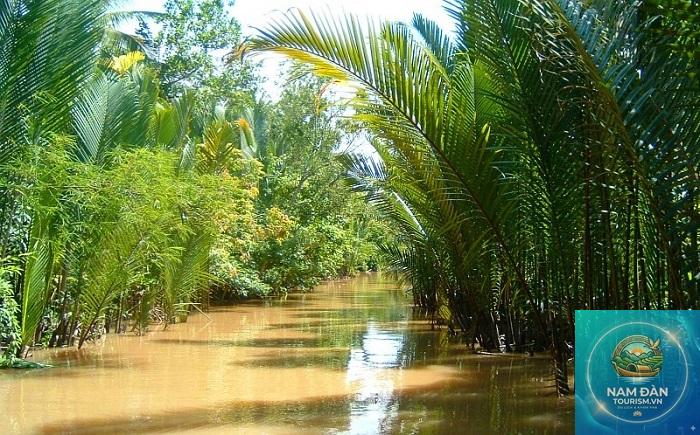 cồn tiên đồng tháp - Hình 3