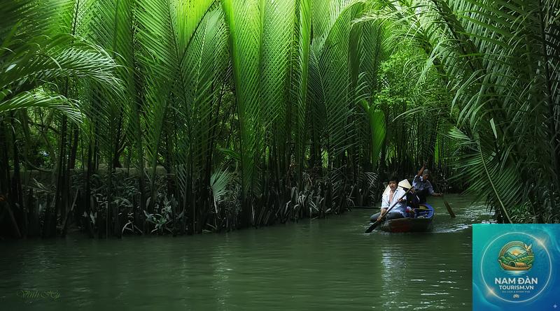 cồn tiên đồng tháp - Hình 5