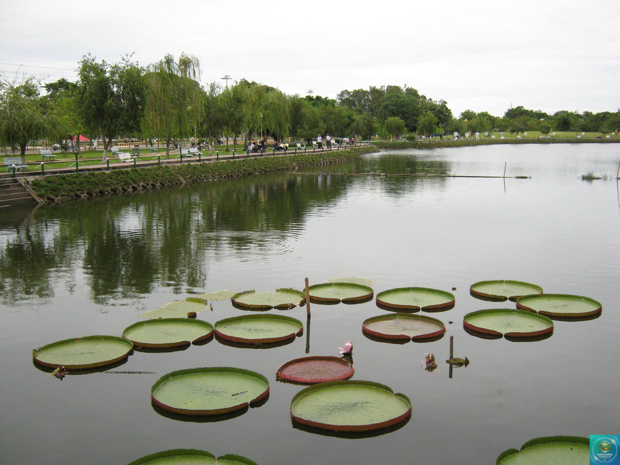 công viên cao lãnh - Hình 2