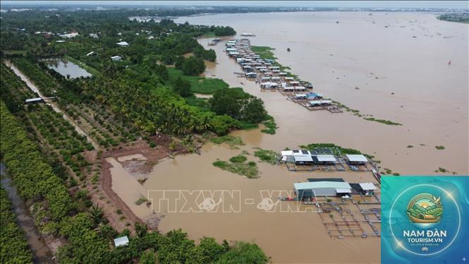 cù lao an hiệp đồng tháp