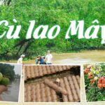Cù Lao Mây Vĩnh Long – Khám Phá Vùng Đất Ngọt Lành Giữa Dòng Sông Cửu Long cù lao cù lao mây vĩnh long