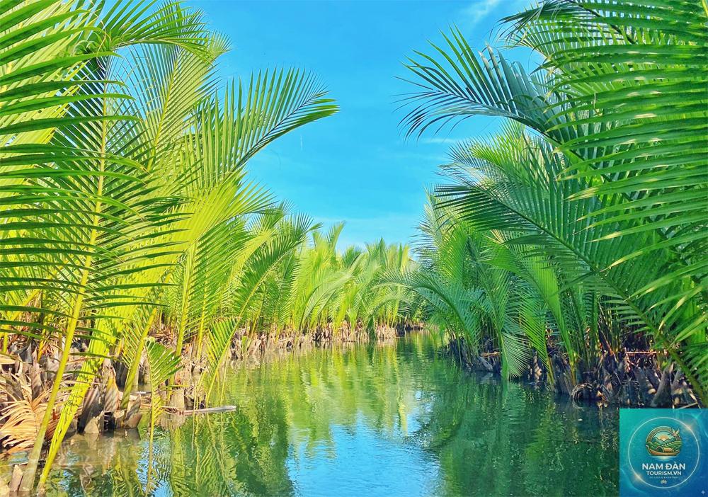 cù lao dừa - Hình 3