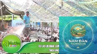 cù lao lợi quan - Hình 4
