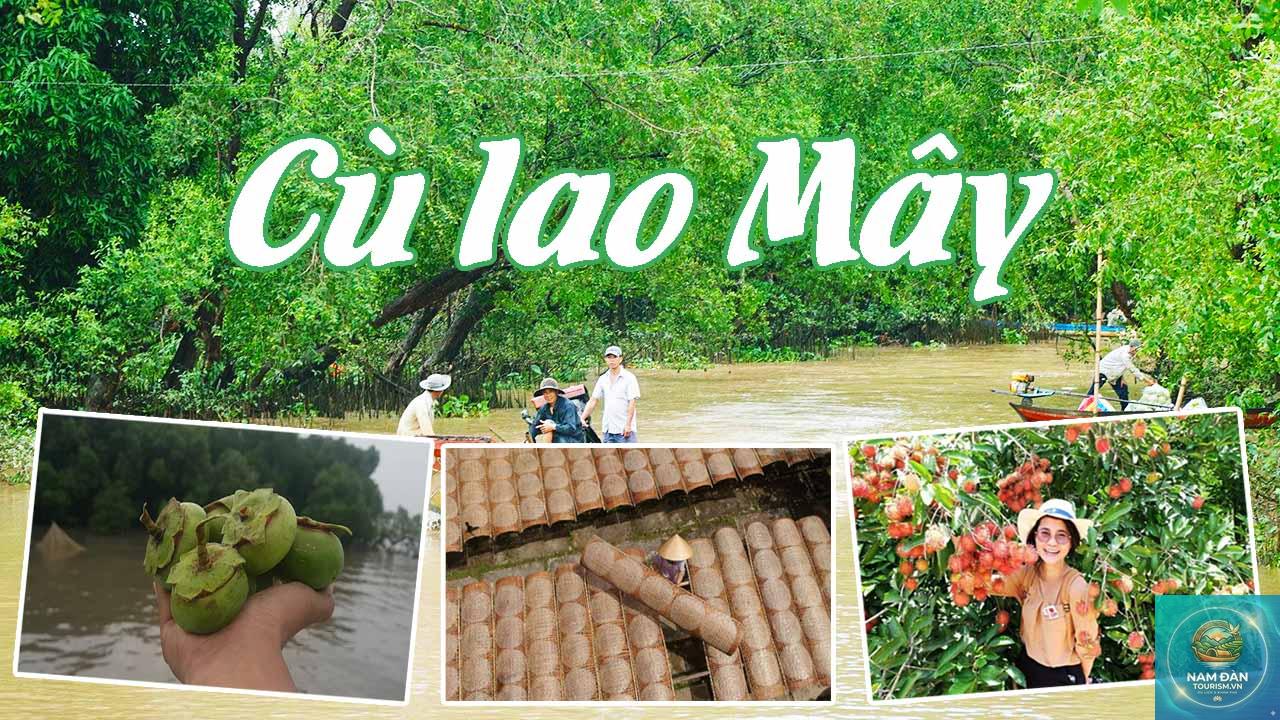 cù lao mây - Hình 1