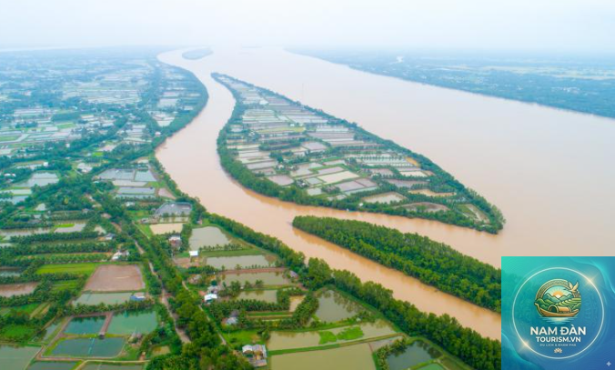 cù lao tân quy đông - Hình 5