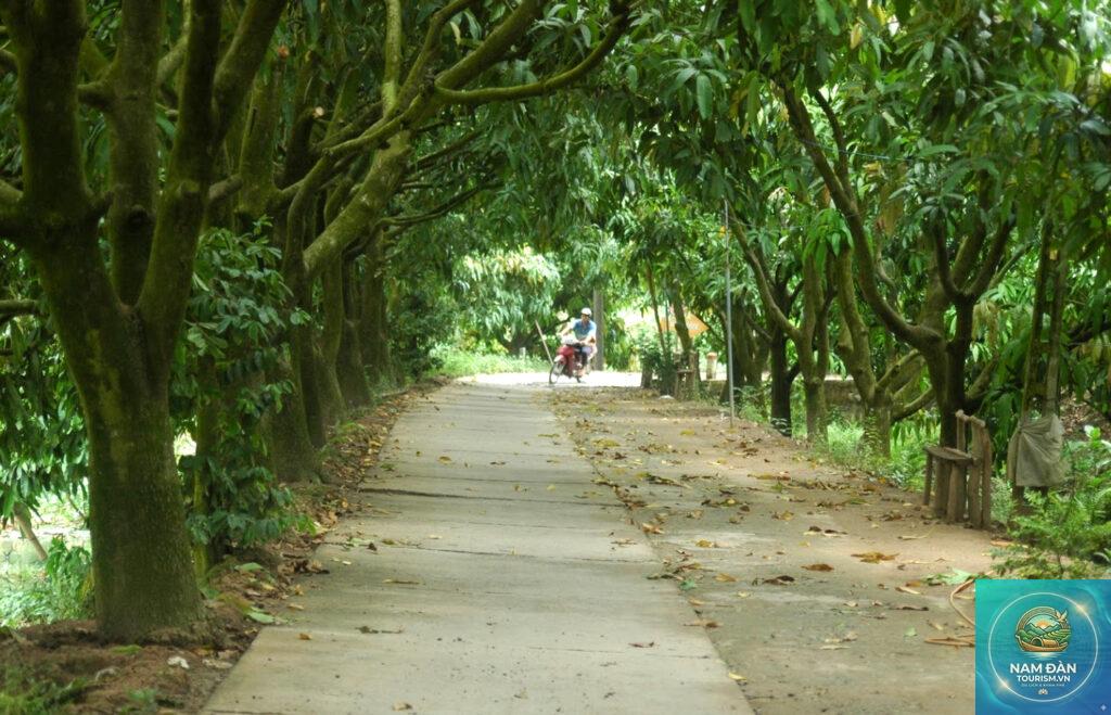 cù lao tân thuận