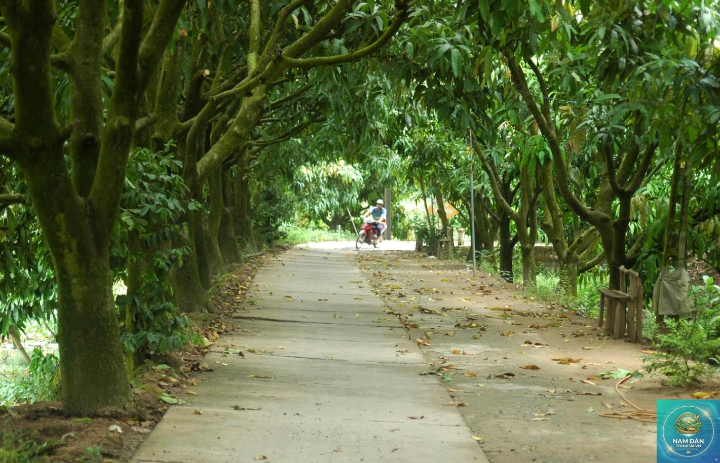 cù lao tân thuận đông - Hình 2