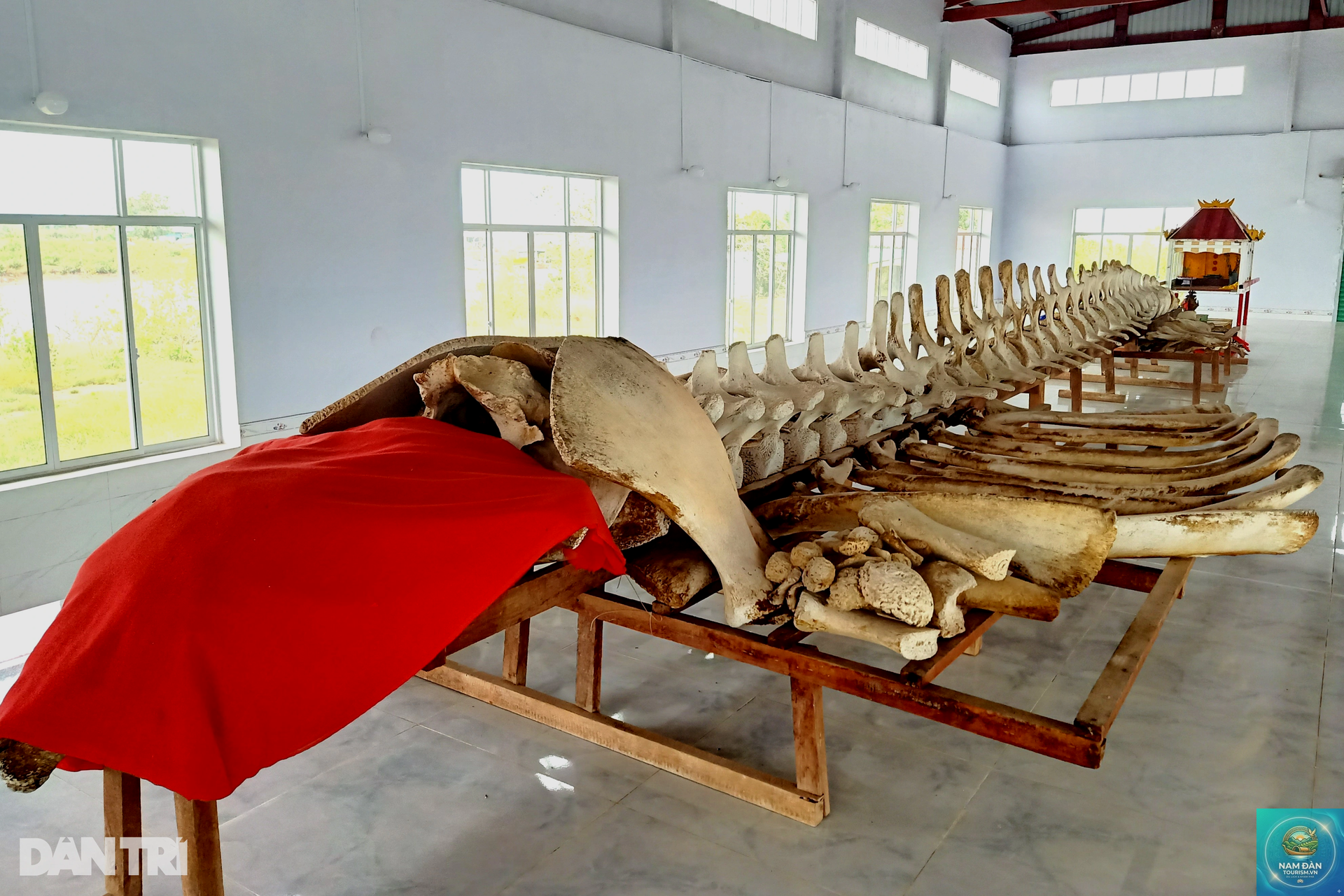 cửa biển cái cùng - Hình 2