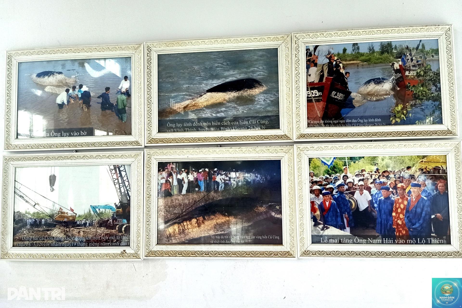 cửa biển cái cùng - Hình 3
