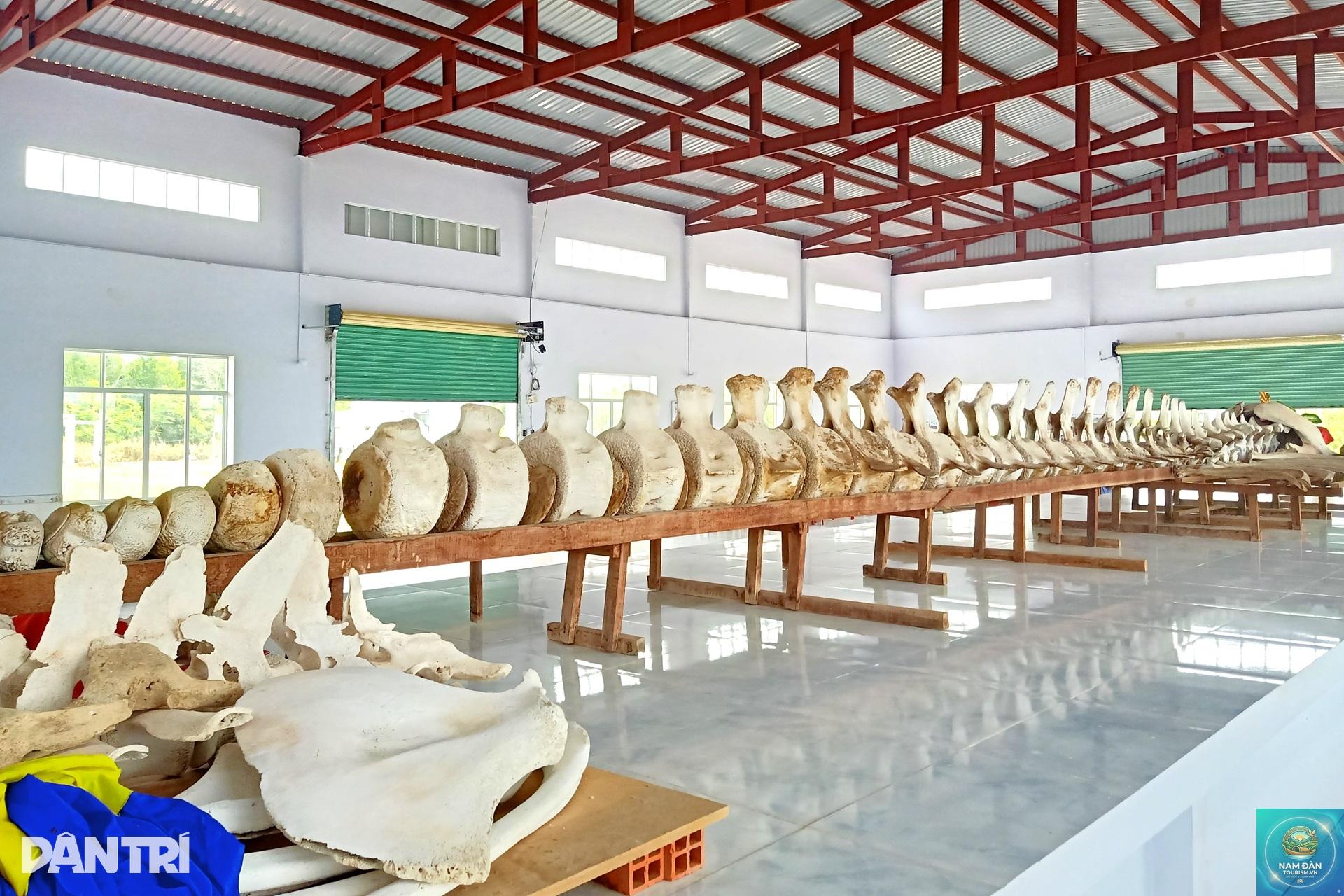 cửa biển cái cùng - Hình 4