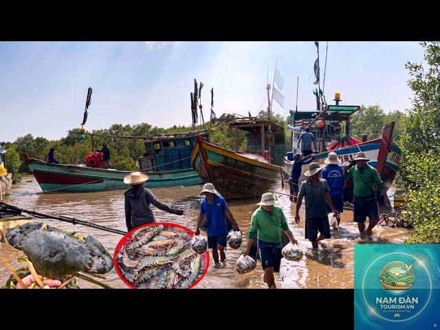 cửa biển vĩnh châu - Hình 5