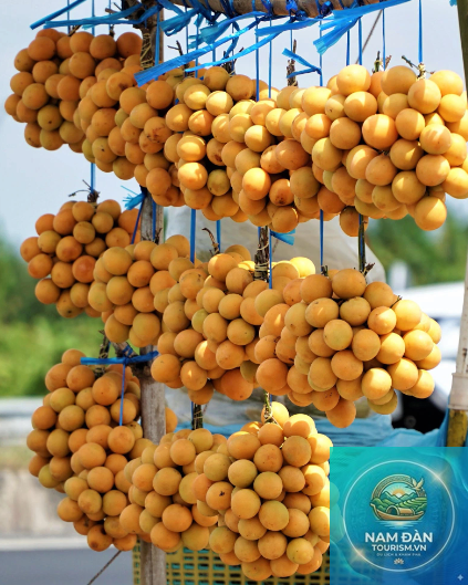 đặc sản vĩnh long làm quà - Hình 5