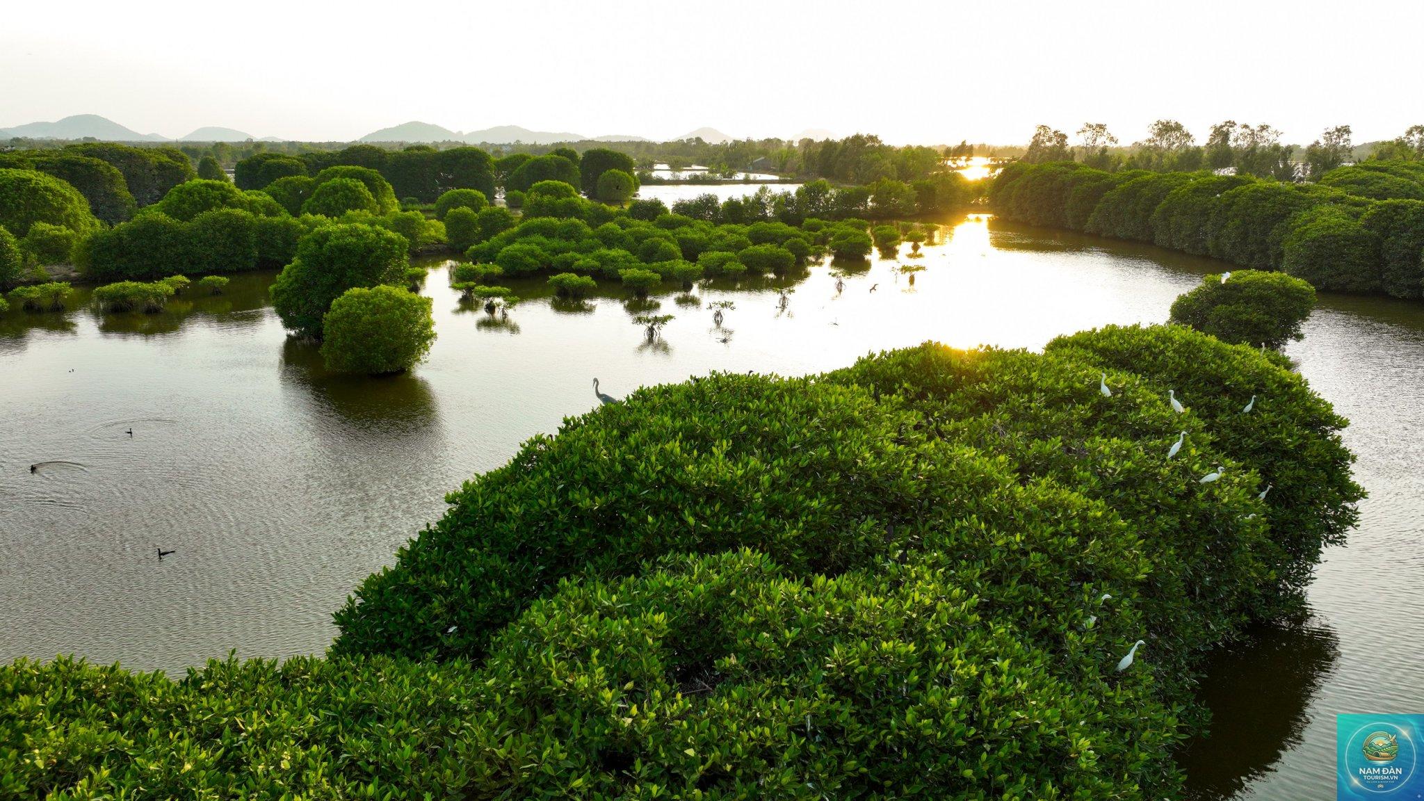 đầm đông hồ - Hình 1
