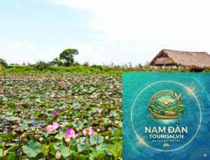 đầm sen tràm chim