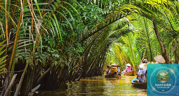 địa điểm check in bến tre - Hình 5