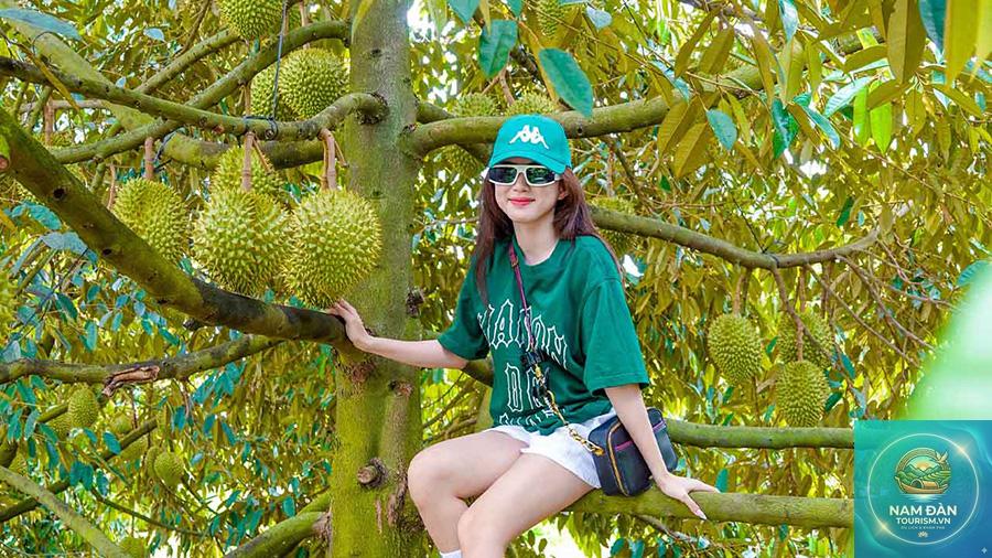 địa điểm sống ảo ở bến tre - Hình 5