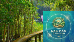 địa điểm sống ảo ở long an