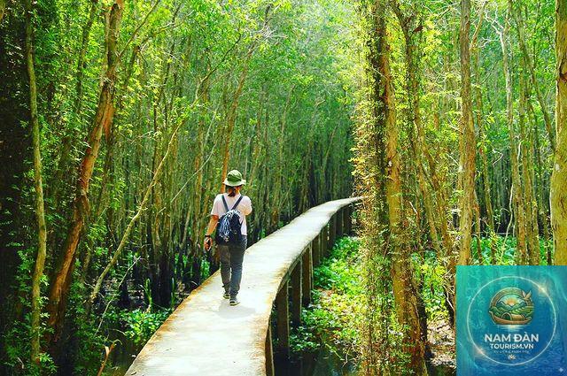 địa điểm sống ảo ở long an - Hình 3