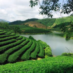 Khám Phá Những Điểm Du Lịch Nghệ An Nổi Tiếng Nhất Không Thể Bỏ Lỡ điểm du lịch nghệ an nổi tiếng nhất