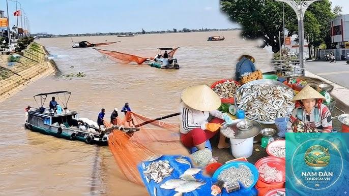 đình tân châu - Hình 5