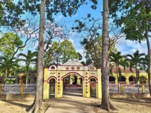 đình tiên thủy