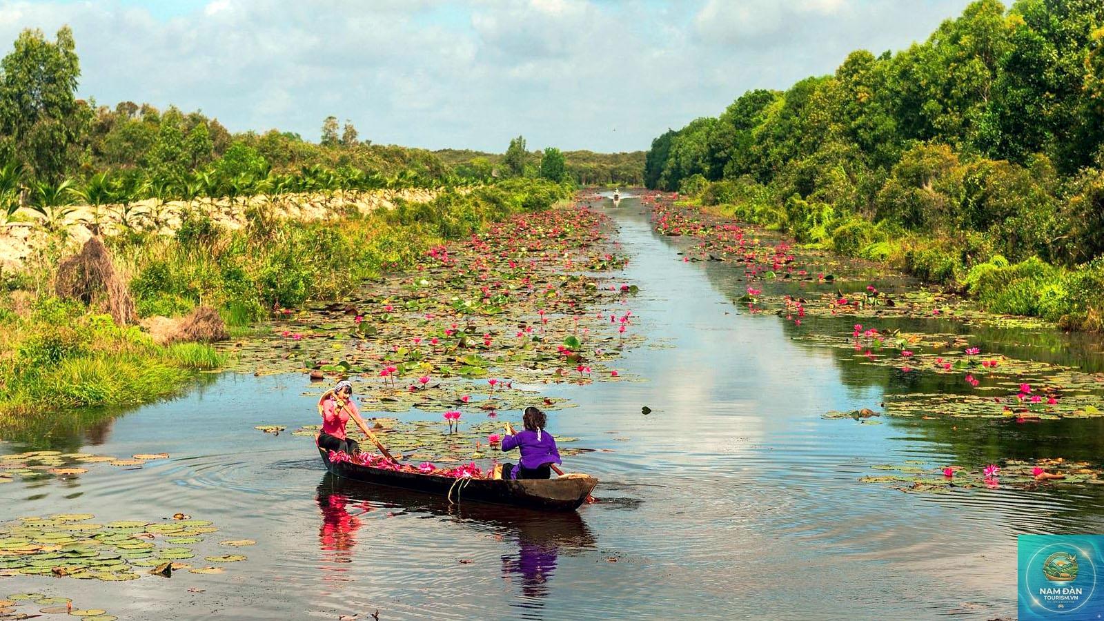 đồng cỏ bàng long an - Hình 4