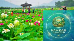 đồng sen tân lập