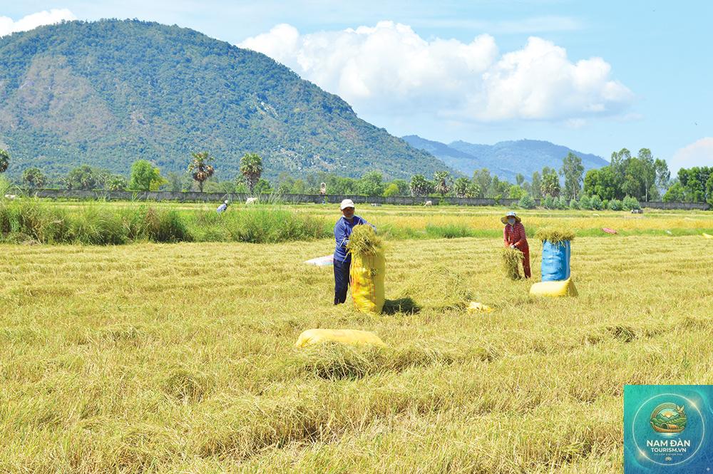 du lịch an giang mùa khô - Hình 4