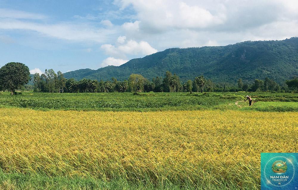 du lịch an giang mùa khô