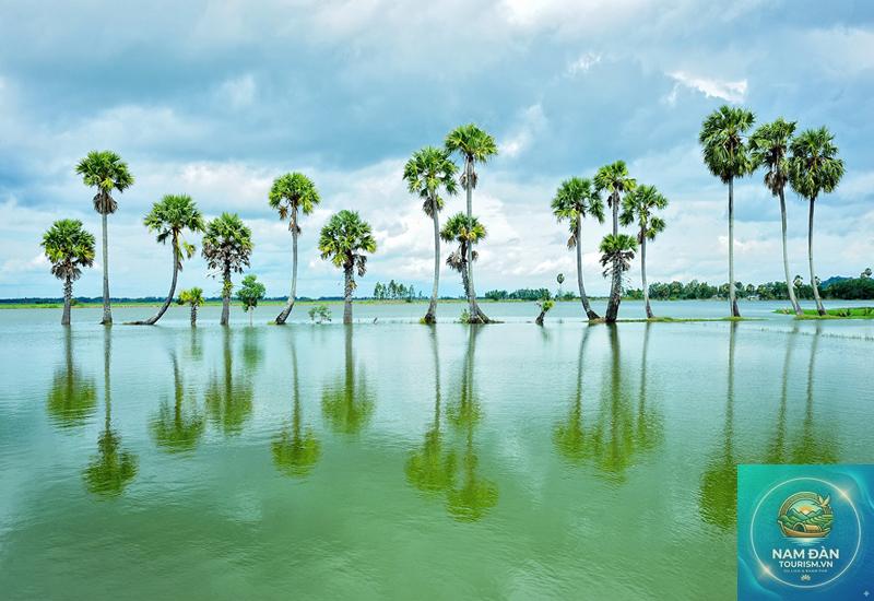 du lịch an giang mùa nước nổi - Hình 3