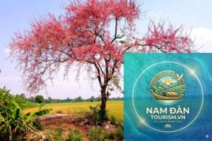 du lịch an giang tháng 3