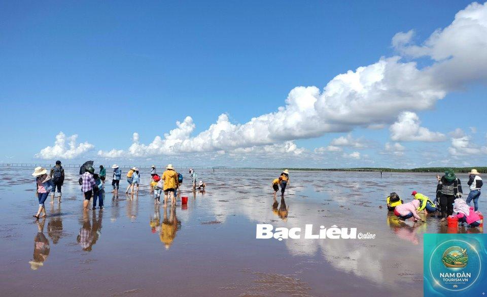 du lịch biển bạc liêu - Hình 3