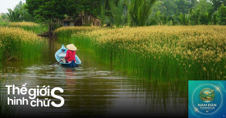 du lịch cà mau cuối tuần - Hình 4