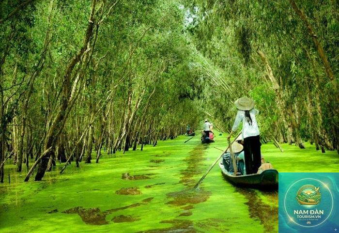 du lịch cà mau mùa khô - Hình 2